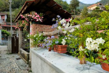 Ritorna il concorso &quot;Condove fiorita&quot;