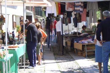 Sfoglia la galleria