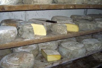 Sfoglia la galleria