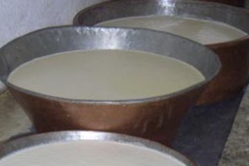 Fiera della Toma - Latte