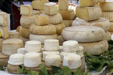 Fiera della Toma - Tome, tomette, tomini